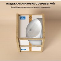 Умывальник Wellsee Chalice Perfection 230612000 (отдельностоящий, без отверстия под смеситель, матовый белый) - Превью изображения №8 — Интернет-магазин Time-Shop