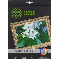 CACTUS матовая A4 190 г/кв.м. 10 листов [CS-DA419010]