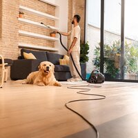 Пылесос Cecotec Conga Rockstar Cyclonic XL ProAnimal - Превью изображения №7 — Интернет-магазин Time-Shop