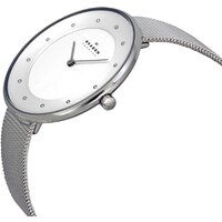 Наручные часы Skagen SKW2140 - Превью изображения №4 — Интернет-магазин Time-Shop