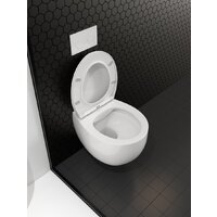 Унитаз подвесной Roxen Egg в комплекте с инсталляцией StounFix Dual Fresh 6 в 1 968031 (кнопка: золото глянцевое ) - Превью изображения №10 — Интернет-магазин Time-Shop