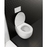 Унитаз подвесной Roxen Egg в комплекте с инсталляцией StounFix Dual Fresh 6 в 1 968031 (кнопка: золото глянцевое ) - Превью изображения №11 — Интернет-магазин Time-Shop