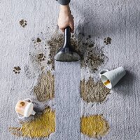 Пылесос Tefal Clean It IZ5020 - Превью изображения №7 — Интернет-магазин Time-Shop