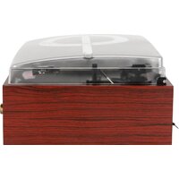 Виниловый проигрыватель Alive Audio Quattro Wood - Превью изображения №6 — Интернет-магазин Time-Shop