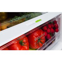 Холодильник Amica FK3356.4GBDFZAA - Превью изображения №10 — Интернет-магазин Time-Shop