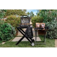 Электрогриль Ninja Woodfire OG701EU - Превью изображения №8 — Интернет-магазин Time-Shop