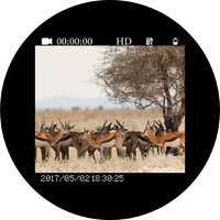 Бинокль Veber DigiView NB-02 - Превью изображения №12 — Интернет-магазин Time-Shop