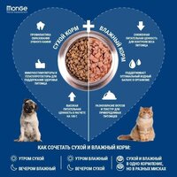 Сухой корм для собак Monge Speciality Line Monoprotein с ягненком и рисом 7.5 кг - Превью изображения №6 — Интернет-магазин Time-Shop