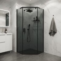 Душевой уголок Niagara Eco NG-1010-14DT 100x100x190 (черный/стекло тонированное) - Превью изображения №3 — Интернет-магазин Time-Shop