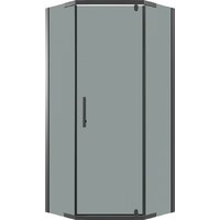 Niagara Eco NG-1010-14DT 100x100x190 (черный/стекло тонированное)