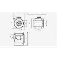 Осевой вентилятор Soler&Palau TD-1100/250 EXEIIT3 - Превью изображения №4 — Интернет-магазин Time-Shop