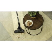 Пылесос Cecotec Conga Rockstar Cyclonic Powerbag 108209 - Превью изображения №3 — Интернет-магазин Time-Shop