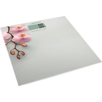 Напольные весы Esperanza EBS010 - Превью изображения №2 — Интернет-магазин Time-Shop