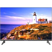 Витязь 24LH1204