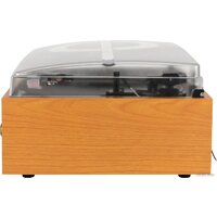 Виниловый проигрыватель Alive Audio Quattro Light Wood - Превью изображения №6 — Интернет-магазин Time-Shop