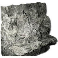 Lucky Reptile Waterfall WF-9