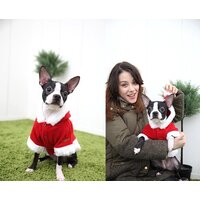 Куртка для животных Puppia Santa PDDF-SC23-RD-4L (красный) - Превью изображения №4 — Интернет-магазин Time-Shop