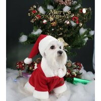 Куртка для животных Puppia Santa PDDF-SC23-RD-4L (красный) - Превью изображения №3 — Интернет-магазин Time-Shop