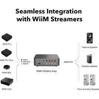 Усилитель мощности WiiM Vibelink Amp (серый) - Превью изображения №2 — Интернет-магазин Time-Shop