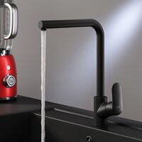 Кухонная мойка БелЭворс Styl L + Like F8005022 (черный) - Превью изображения №8 — Интернет-магазин Time-Shop