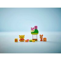 Конструктор LEGO Duplo Disney День Рождения 10457 - Превью изображения №8 — Интернет-магазин Time-Shop