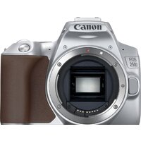 Зеркальный фотоаппарат Canon EOS 250D Kit 18-55 IS STM (серебристый) - Превью изображения №2 — Интернет-магазин Time-Shop