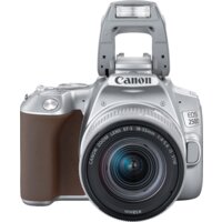 Зеркальный фотоаппарат Canon EOS 250D Kit 18-55 IS STM (серебристый) - Превью изображения №9 — Интернет-магазин Time-Shop