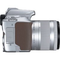Зеркальный фотоаппарат Canon EOS 250D Kit 18-55 IS STM (серебристый) - Превью изображения №7 — Интернет-магазин Time-Shop