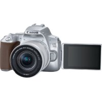 Зеркальный фотоаппарат Canon EOS 250D Kit 18-55 IS STM (серебристый) - Превью изображения №5 — Интернет-магазин Time-Shop