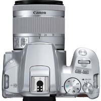 Зеркальный фотоаппарат Canon EOS 250D Kit 18-55 IS STM (серебристый) - Превью изображения №8 — Интернет-магазин Time-Shop