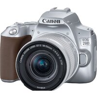 Зеркальный фотоаппарат Canon EOS 250D Kit 18-55 IS STM (серебристый) - Превью изображения №3 — Интернет-магазин Time-Shop