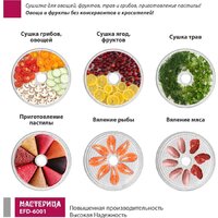 Сушилка для овощей и фруктов Мастерица EFD-6001 - Превью изображения №5 — Интернет-магазин Time-Shop