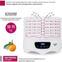 Сушилка для овощей и фруктов Мастерица EFD-6001 - Превью изображения №9 — Интернет-магазин Time-Shop