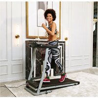 Электрическая беговая дорожка DFC Blues T-113 - Превью изображения №15 — Интернет-магазин Time-Shop