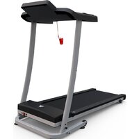 Электрическая беговая дорожка DFC Blues T-113 - Превью изображения №5 — Интернет-магазин Time-Shop