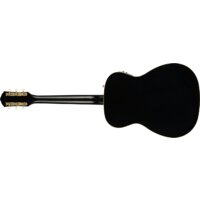 Электроакустическая гитара Fender Tim Armstrong Anniversary Hellcat - Превью изображения №2 — Интернет-магазин Time-Shop