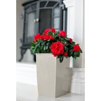 Кашпо GardenPlast Жасмин 1.5 л (графит) - Превью изображения №6 — Интернет-магазин Time-Shop