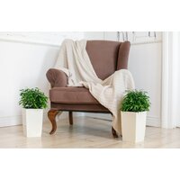 Кашпо GardenPlast Жасмин 1.5 л (графит) - Превью изображения №7 — Интернет-магазин Time-Shop