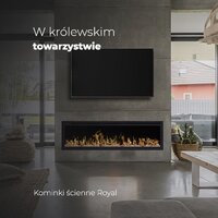 Электрокамин Aflamo Royal 100 - Превью изображения №2 — Интернет-магазин Time-Shop