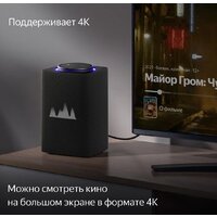 Умная колонка Яндекс Станция Макс (с хабом умного дома Zigbee, графит) - Превью изображения №5 — Интернет-магазин Time-Shop