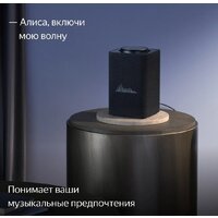 Умная колонка Яндекс Станция Макс (с хабом умного дома Zigbee, графит) - Превью изображения №9 — Интернет-магазин Time-Shop