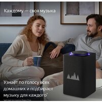 Умная колонка Яндекс Станция Макс (с хабом умного дома Zigbee, графит) - Превью изображения №8 — Интернет-магазин Time-Shop