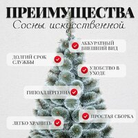 Сосна Erbis Темная с белыми кончиками 150 - Превью изображения №5 — Интернет-магазин Time-Shop