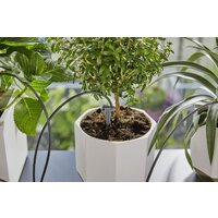 Шланг для капельного полива Gardena 13366-20 (30 м) - Превью изображения №5 — Интернет-магазин Time-Shop