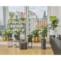 Шланг для капельного полива Gardena 13366-20 (30 м) - Превью изображения №3 — Интернет-магазин Time-Shop