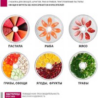 Сушилка для овощей и фруктов Мастерица EFD-5000 - Превью изображения №13 — Интернет-магазин Time-Shop