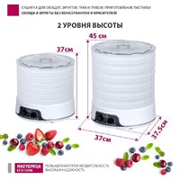 Сушилка для овощей и фруктов Мастерица EFD-5000 - Превью изображения №5 — Интернет-магазин Time-Shop