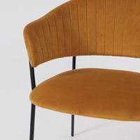 Стул с подлокотниками Алвест AV 433 (карри бархат Confetti chai tea/черный) - Превью изображения №13 — Интернет-магазин Time-Shop