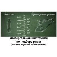 Велосипед Stels Legenda 320 С 28 р.20 (бежевый) - Превью изображения №2 — Интернет-магазин Time-Shop