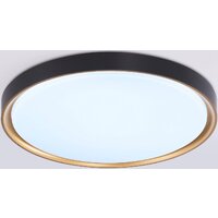 Ambrella light Orbital FZ1249 BK/GD (черный/золото)